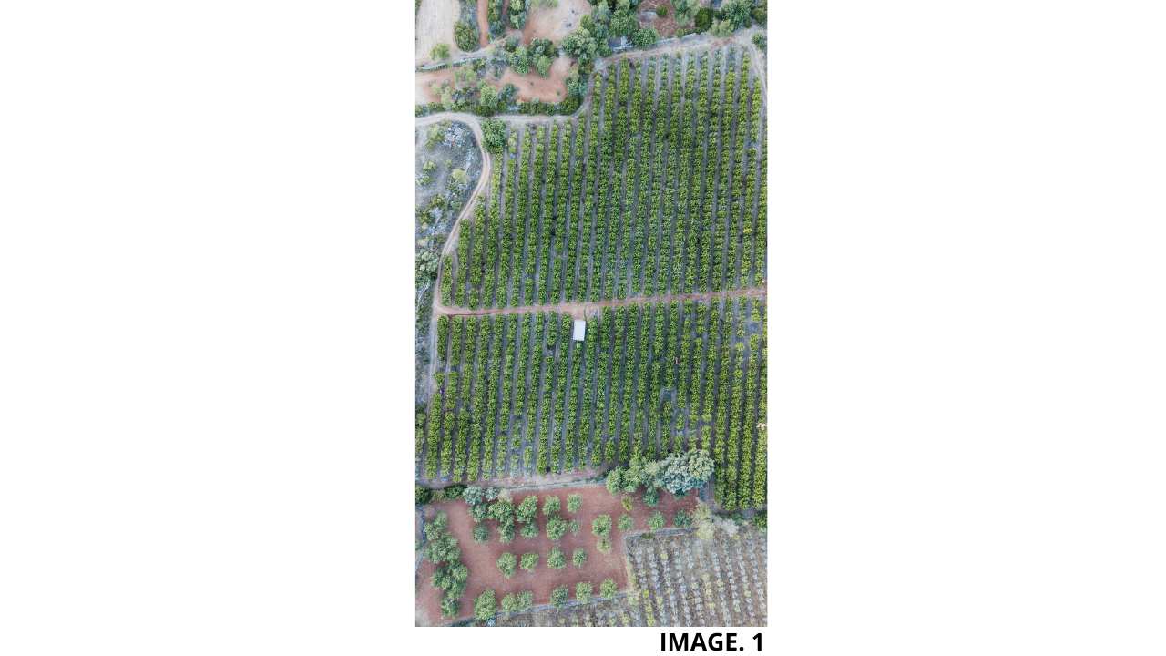 Agricultural Farm Mapping