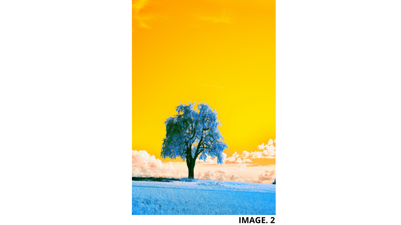 Infrared Imagery