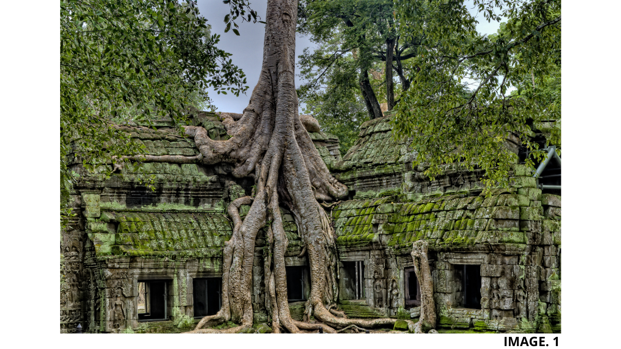 A Merging of Manmade and Natural Heritage
